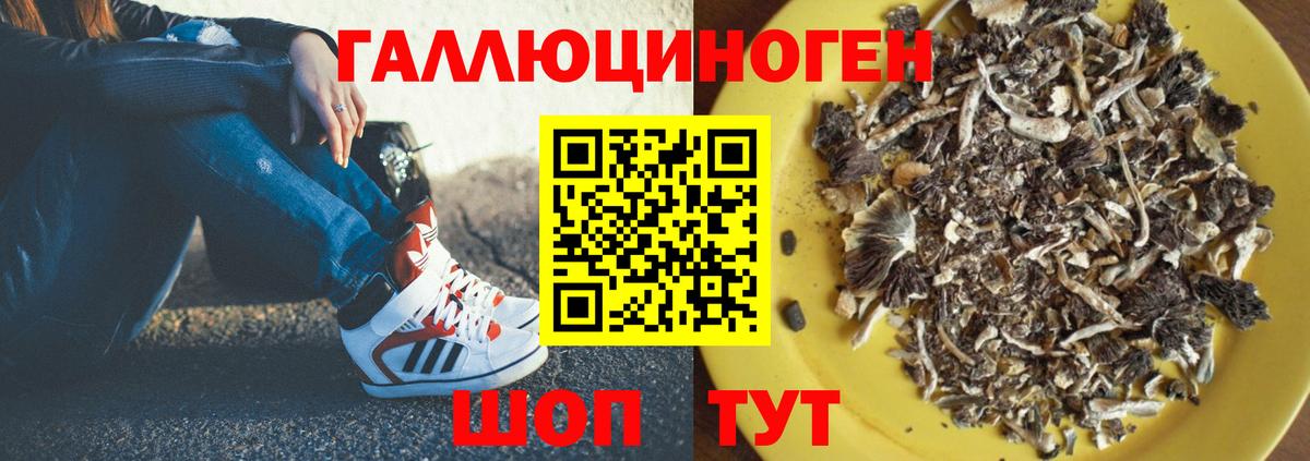 Галлюциногенные грибы GOLDEN TEACHER  Вход с VPN  Калуга  Псилоцибиновые грибы Cubensis 